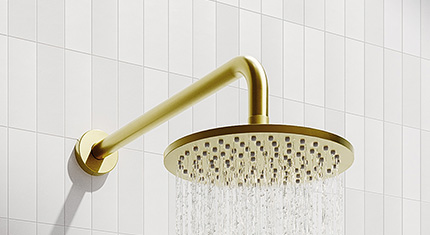 Inspired Design Plus shower rose and arm champagne gold
