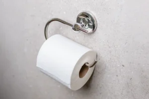 2100 Toilet Paper Holder (2102) - LiquidRed